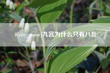 万宁九宫为什么只有八卦
