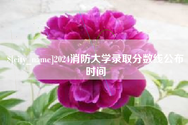 万宁2024消防大学录取分数线公布时间