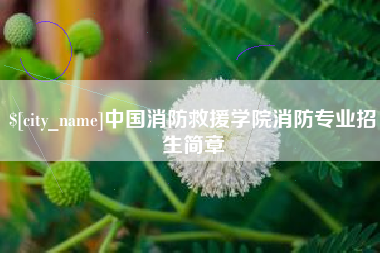 万宁中国消防救援学院消防专业招生简章