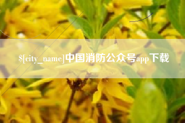 万宁中国消防公众号app下载