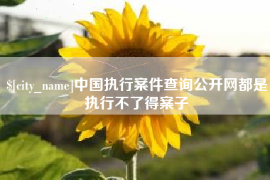 万宁中国执行案件查询公开网都是执行不了得案子