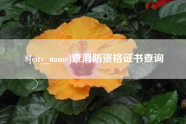 万宁查消防资格证书查询