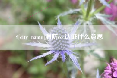 万宁消防ccc认证什么意思