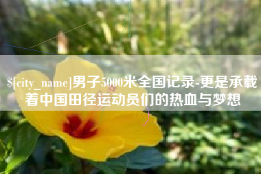 万宁男子5000米全国记录-更是承载着中国田径运动员们的热血与梦想