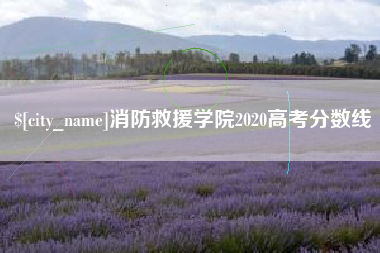 万宁消防救援学院2020高考分数线