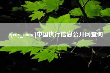 万宁中国执行信息公开网查询