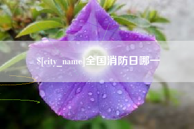 万宁全国消防日哪一