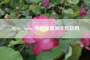 万宁消防证查询全国联网