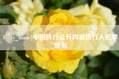 万宁中国执行公开网被执行人名单查询