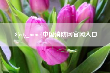 万宁中国消防网官网入口