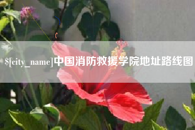 万宁中国消防救援学院地址路线图
