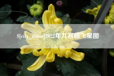 万宁2022年九宫格飞星图