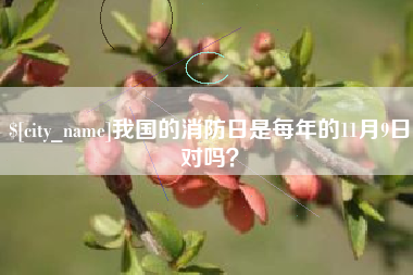 万宁我国的消防日是每年的11月9日对吗？