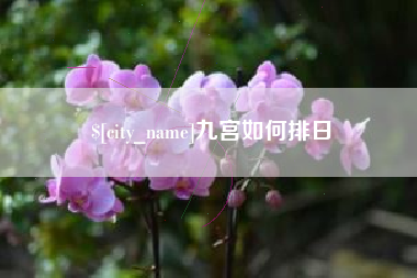 万宁九宫如何排日