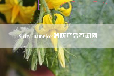 万宁ccc消防产品查询网