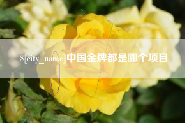 万宁中国金牌都是哪个项目