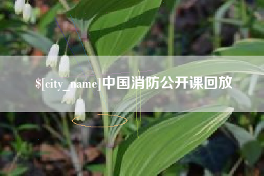 万宁中国消防公开课回放