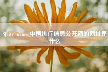 万宁中国执行信息公开网的网址是什么