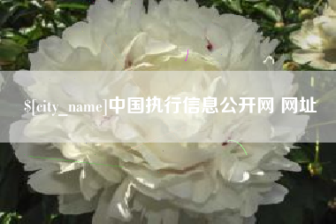 万宁中国执行信息公开网 网址