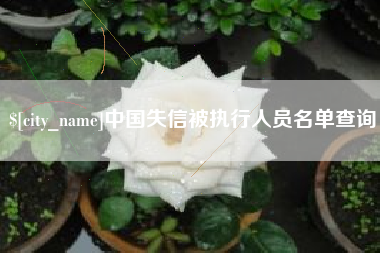 万宁中国失信被执行人员名单查询