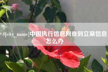 万宁中国执行信息网查到立案信息怎么办