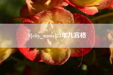 万宁21年九宫格