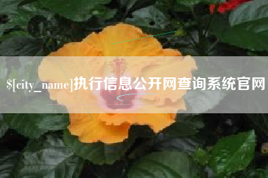 万宁执行信息公开网查询系统官网