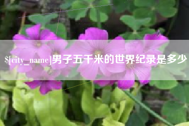 万宁男子五千米的世界纪录是多少