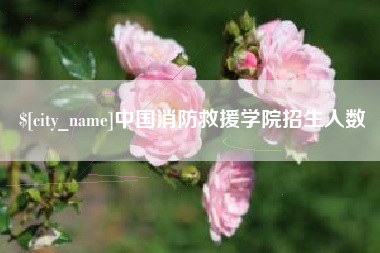 万宁中国消防救援学院招生人数
