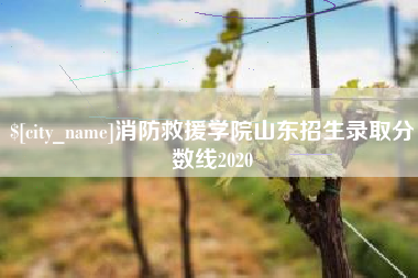 万宁消防救援学院山东招生录取分数线2020