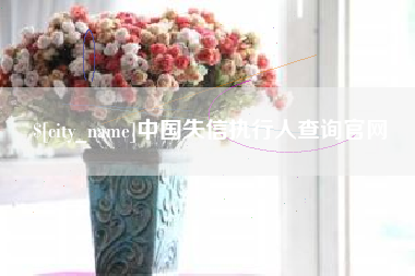 万宁中国失信执行人查询官网