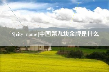 万宁中国第九块金牌是什么