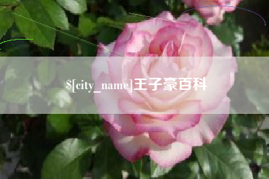 万宁王子豪百科