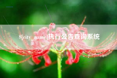 万宁执行公告查询系统