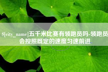 万宁五千米比赛有领跑员吗-领跑员会按照既定的速度匀速前进