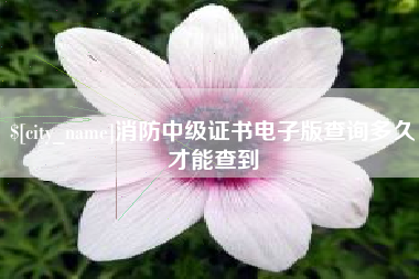 万宁消防中级证书电子版查询多久才能查到