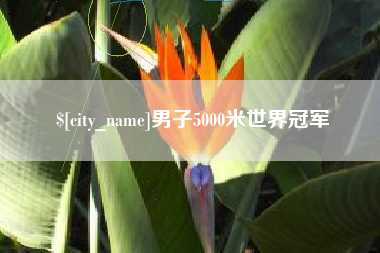 万宁男子5000米世界冠军