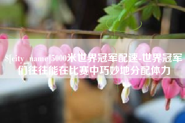 万宁5000米世界冠军配速-世界冠军们往往能在比赛中巧妙地分配体力