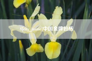 万宁中国金牌包括