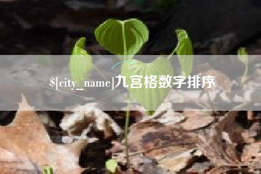 万宁九宫格数字排序