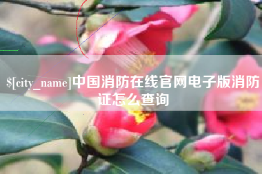 万宁中国消防在线官网电子版消防证怎么查询