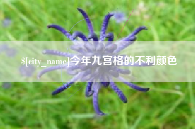 万宁今年九宫格的不利颜色