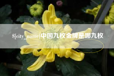 万宁中国九枚金牌是哪九枚