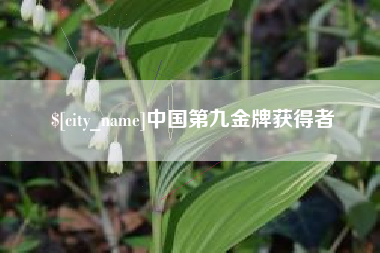 万宁中国第九金牌获得者