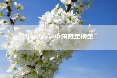 万宁中国冠军榜单