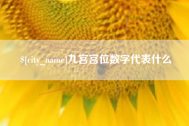 万宁九宫宫位数字代表什么