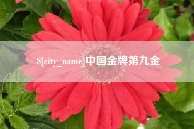 万宁中国金牌第九金