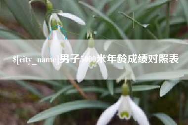 万宁男子5000米年龄成绩对照表