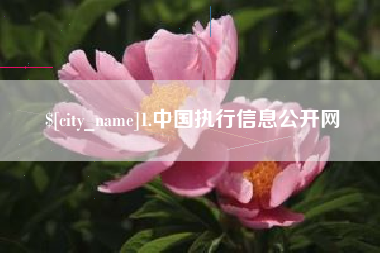 万宁1.中国执行信息公开网