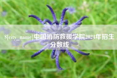万宁中国消防救援学院2024年招生分数线